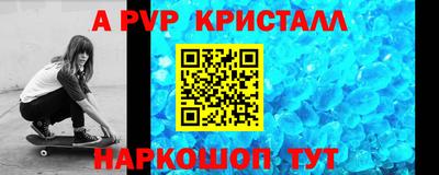 спиды Кингисепп