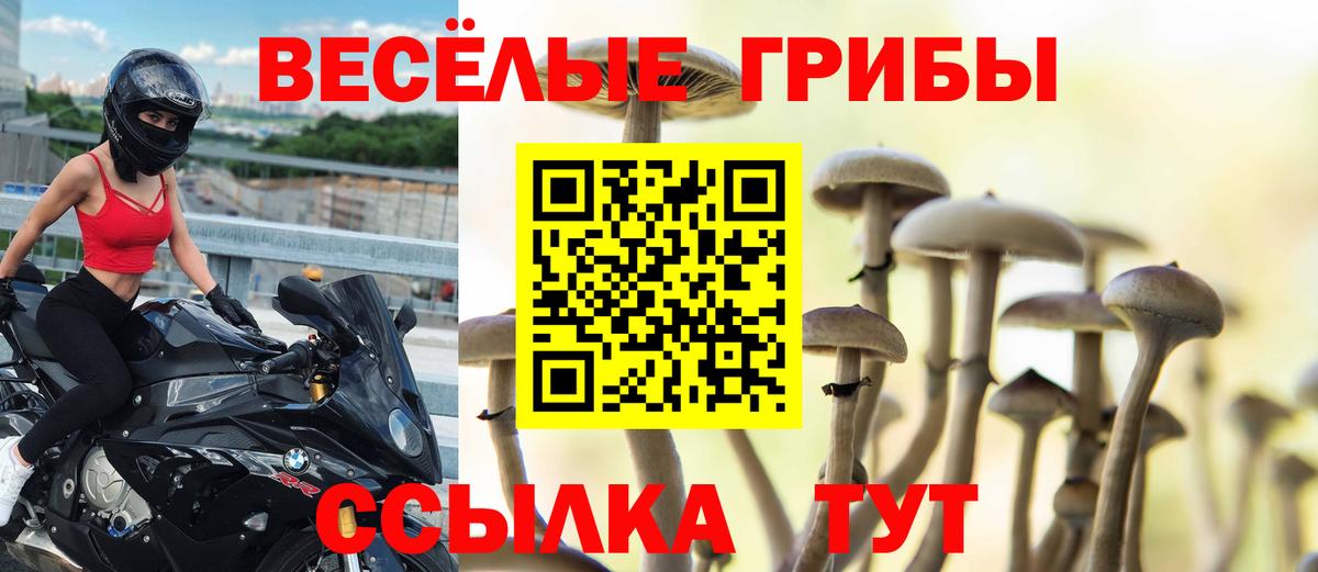 Псилоцибиновые грибы мицелий  Вход с VPN  Фрязино  Псилоцибиновые грибы Psilocybine cubensis 